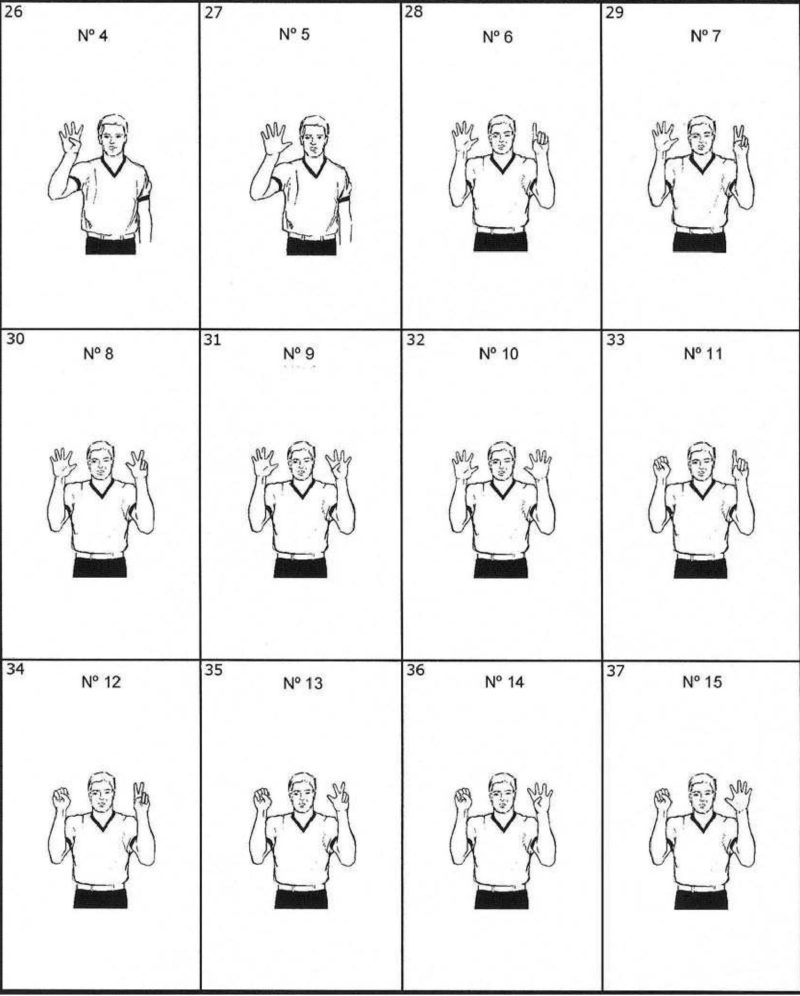 Жесты баскетбольных арбитров